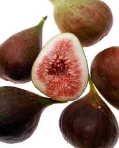 Fig French Sugar