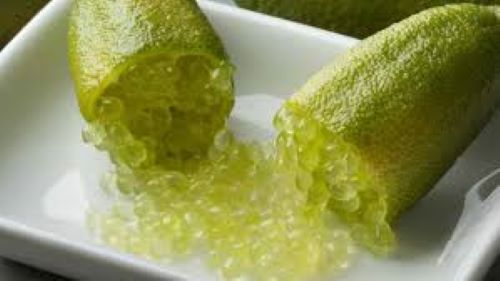 Finger Lime - Citrus australasica